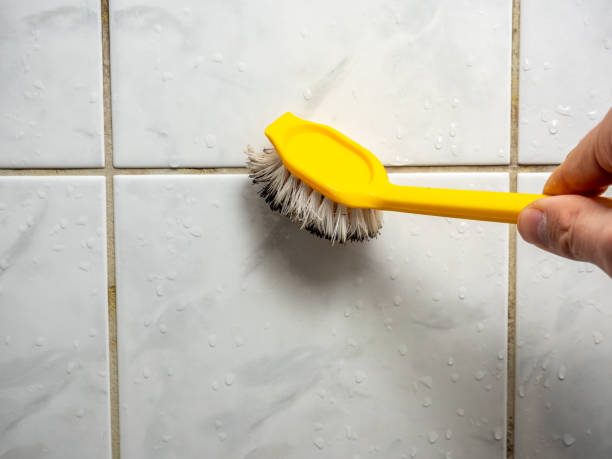 Best Emergency Mold Remediation in Berryville, VA