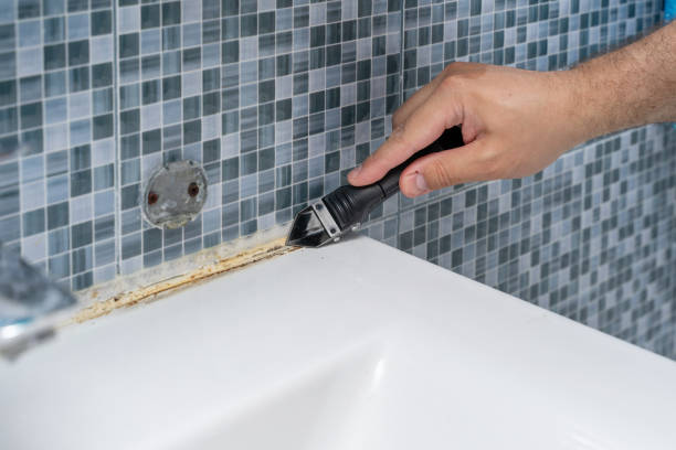 Best Post-Flood Mold Remediation in Berryville, VA